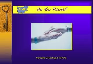 Marketing Consulting &amp; Training