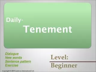 Daily- Tenement