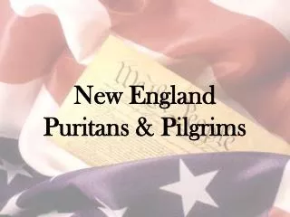 New England Puritans &amp; Pilgrims