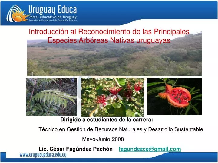 introducci n al reconocimiento de las principales especies arb reas nativas uruguayas
