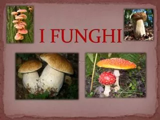 i funghi