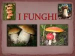 I FUNGHI - slide 1