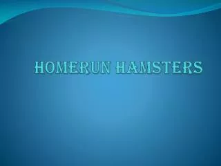 Homerun Hamsters