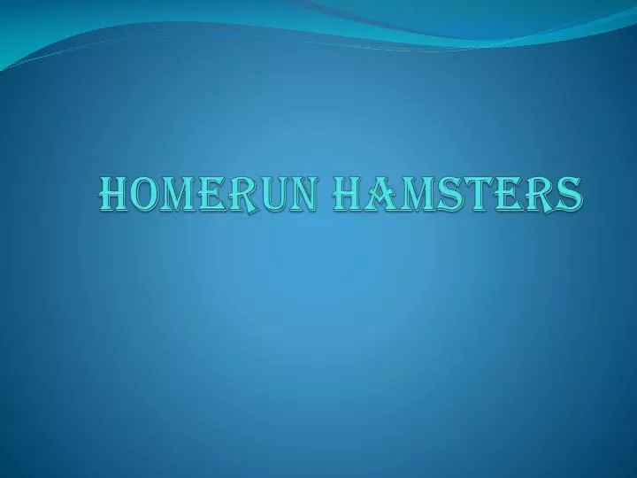 homerun hamsters