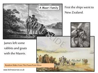 First the ships went to New Zealand.