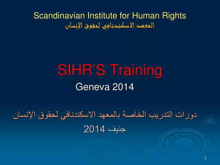 scandinavian institute for human rights