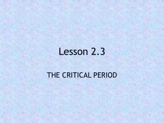 Lesson 2.3
