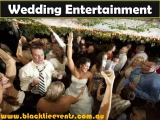 Wedding Entertainment