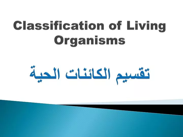 classification of living organisms
