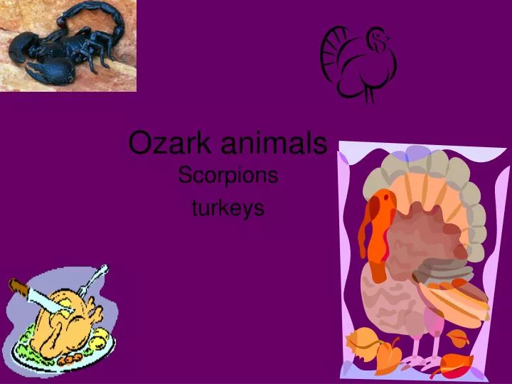 ozark animals
