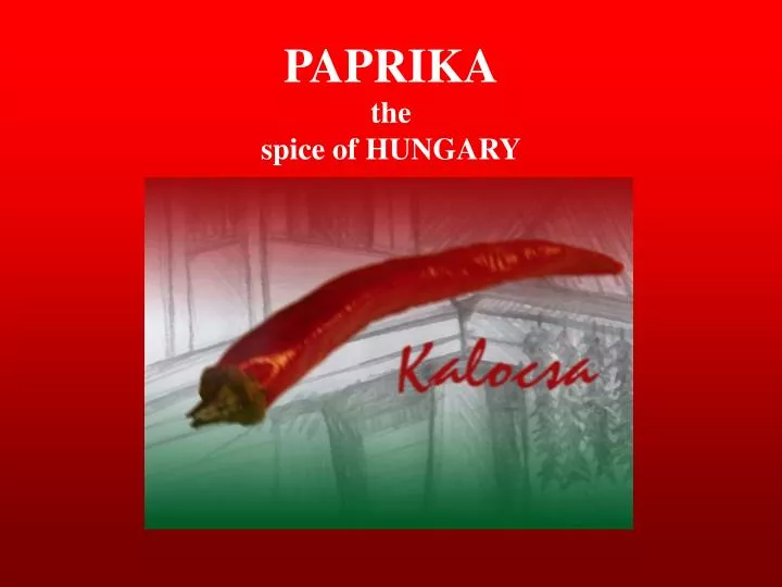 paprika the spice of hungary