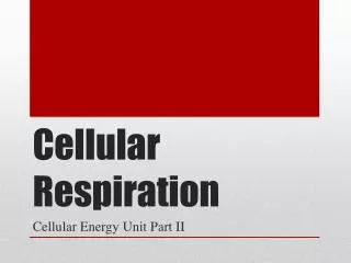 Cellular Respiration