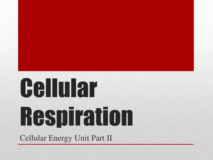 cellular respiration