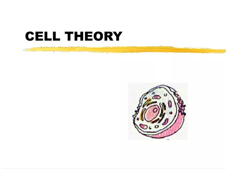 cell theory