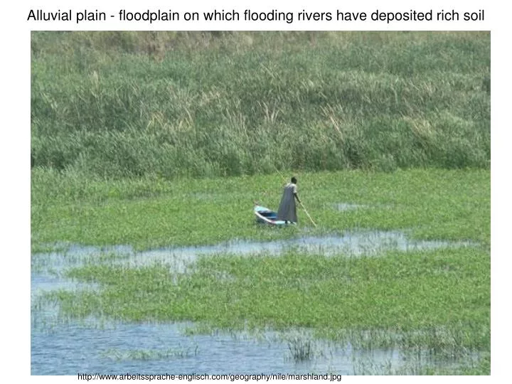 alluvial plain floodplain on which flooding rivers have deposited rich soil