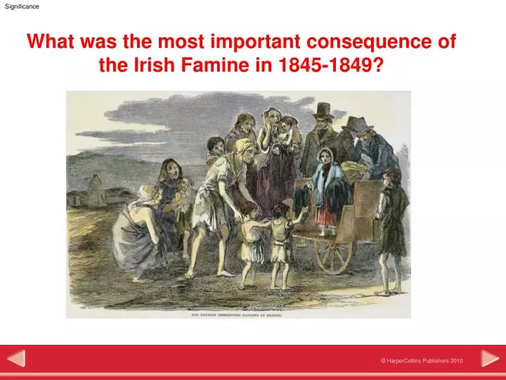 what was the most important consequence of the irish famine in 1845 1849