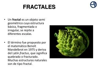 fractales