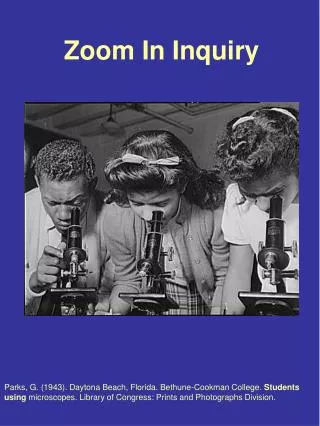 Zoom In Inquiry