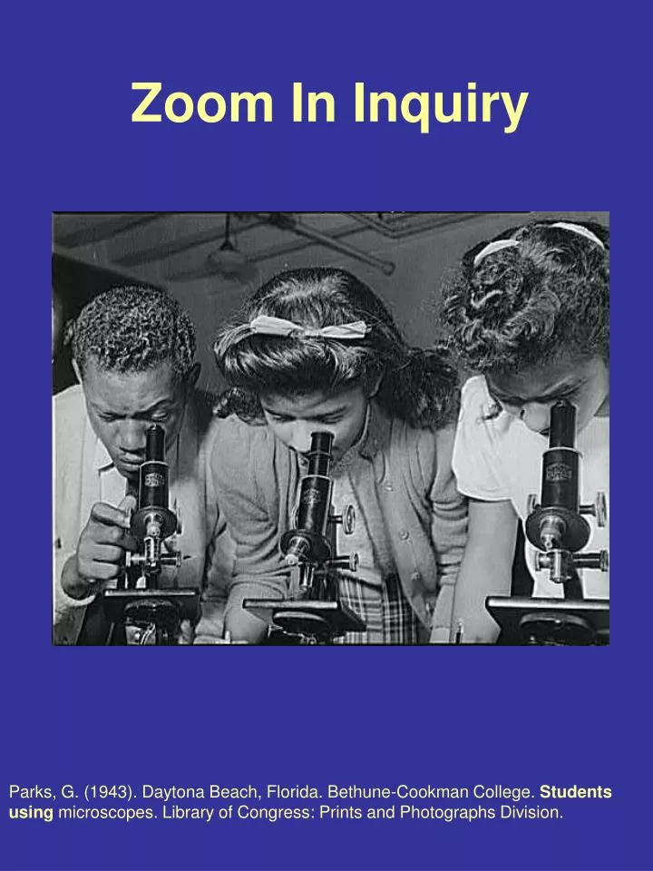 zoom in inquiry