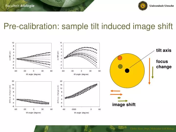 pre calibration sample tilt induced image shift