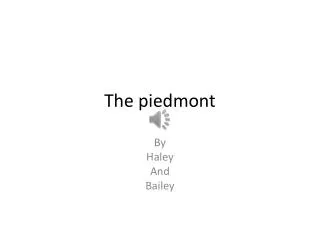 The piedmont