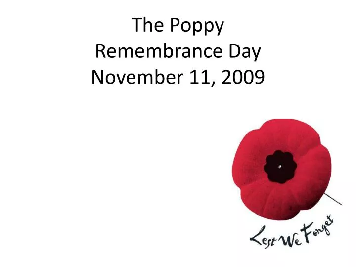 the poppy remembrance day november 11 2009