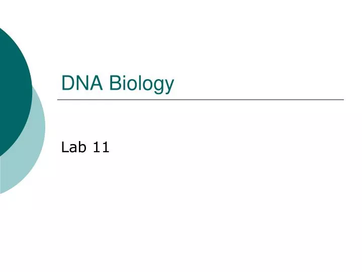 dna biology