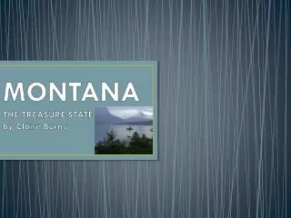 MONTANA THE TREASURE STATE by Claire Burns
