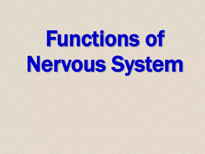 functions of nervous system
