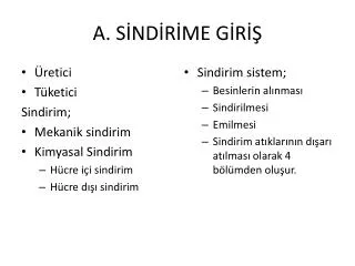 a s nd r me g r