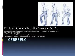 cerebelo