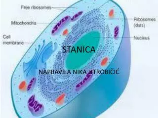 stanica
