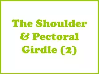 The Shoulder &amp; Pectoral Girdle (2)