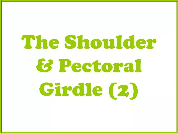 the shoulder pectoral girdle 2