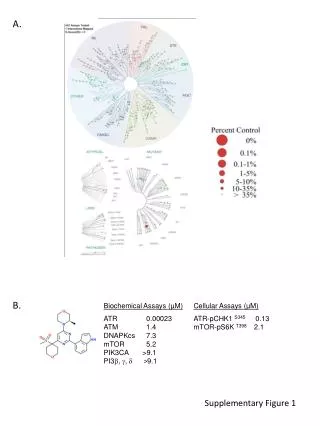 Supplementary Figure 1