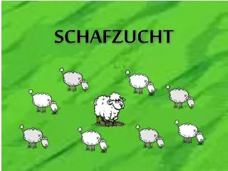 schafzucht