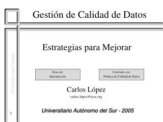 gest i n de calidad de datos
