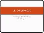 LE SACCHAROSE - slide 1