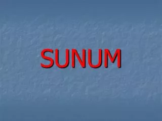 sunum