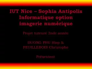 iut nice sophia antipolis informatique option imagerie num rique