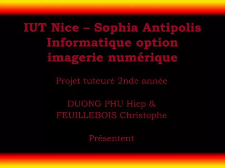 iut nice sophia antipolis informatique option imagerie num rique