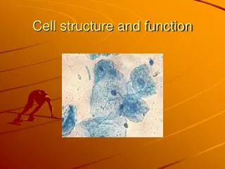 Cell structure and function