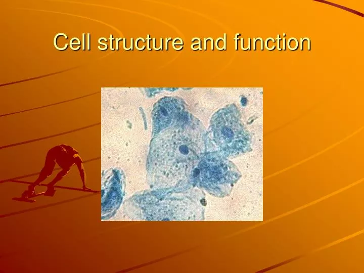 cell structure and function