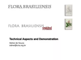 Technical Aspects and Demonstration Sidnei de Souza sidnei@cria.br