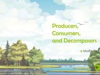 Producers , Consumers , and Decomposers