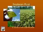 Soybean Rust - slide 1