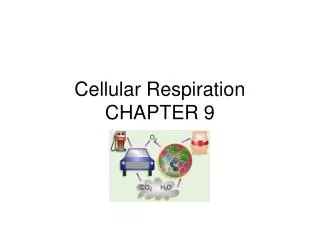 Cellular Respiration CHAPTER 9