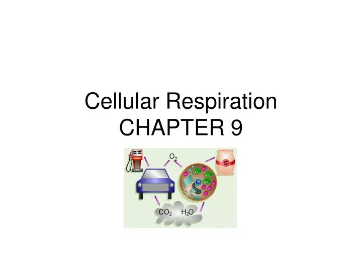 cellular respiration chapter 9