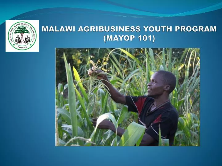 malawi agribusiness youth program mayop 101