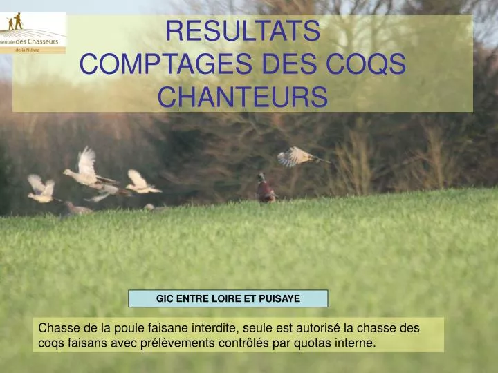 resultats comptages des coqs chanteurs